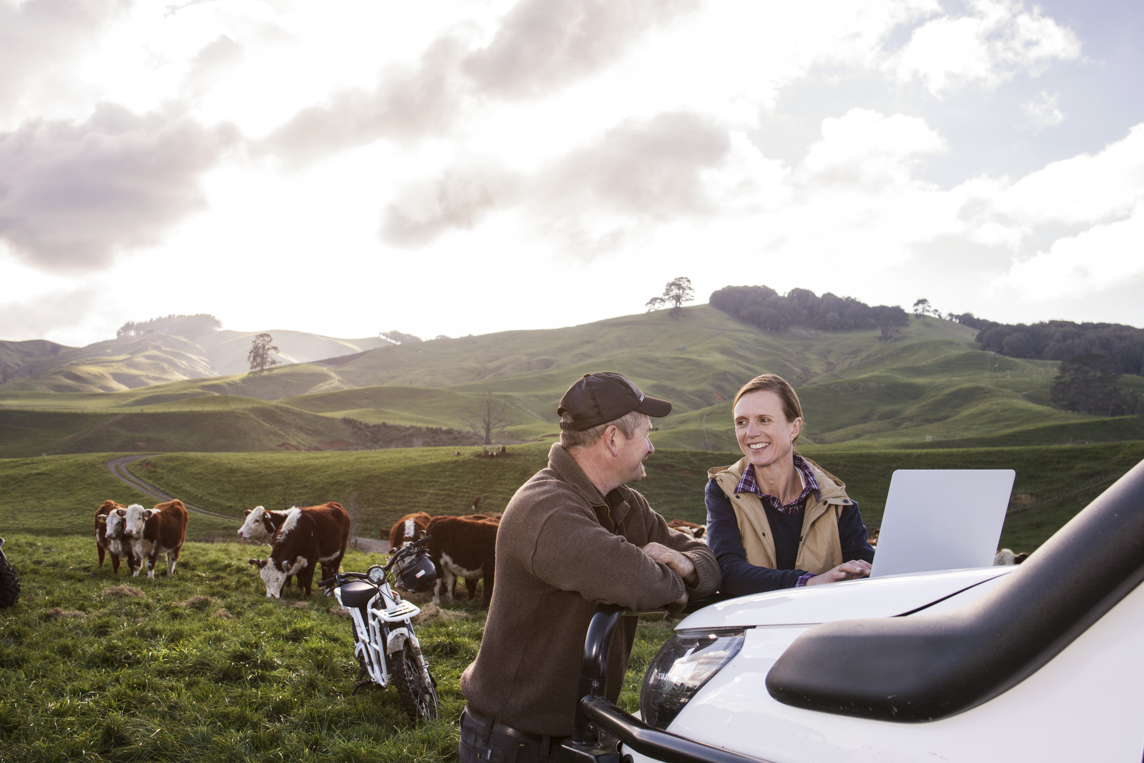 Two farmers using a laptop on the bonnet of a ute, with an electric farm bike and cows in the background